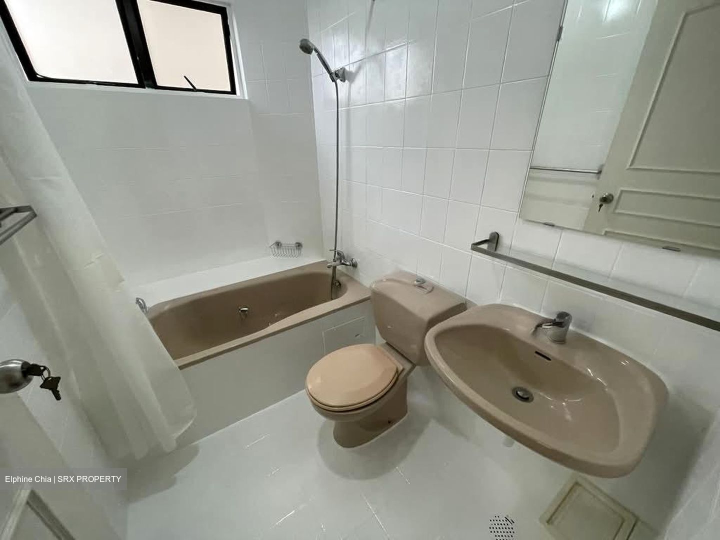 Bayshore Park (D16), Condominium #566254651
